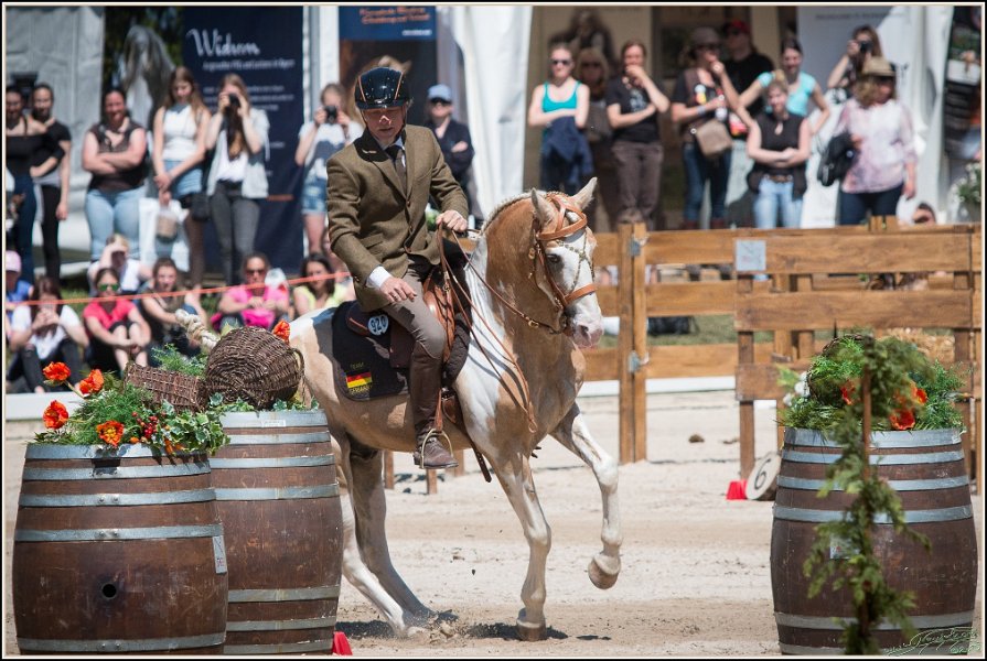 Pferd International 130